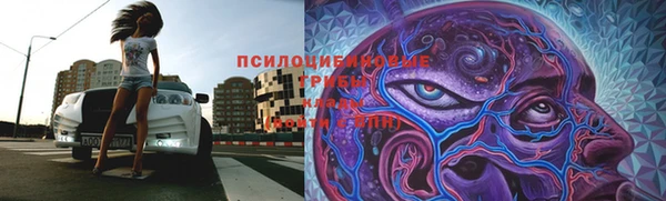 шишки Вязьма