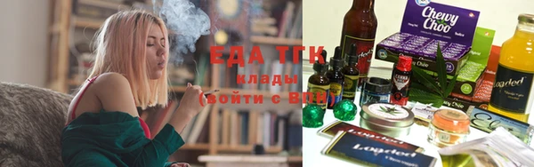 индика Вяземский