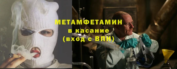 индика Вяземский