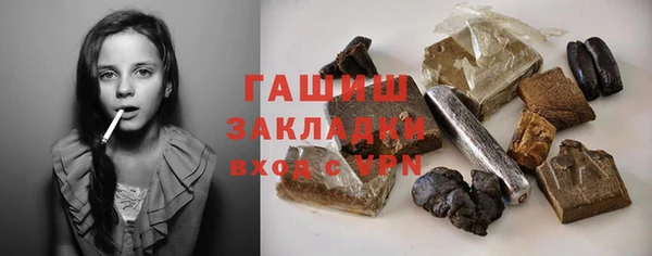 индика Вяземский