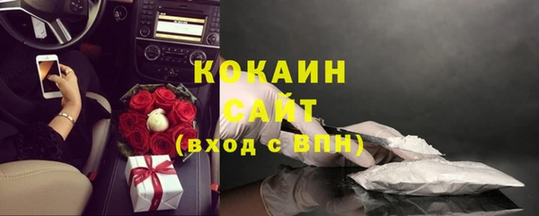индика Вяземский