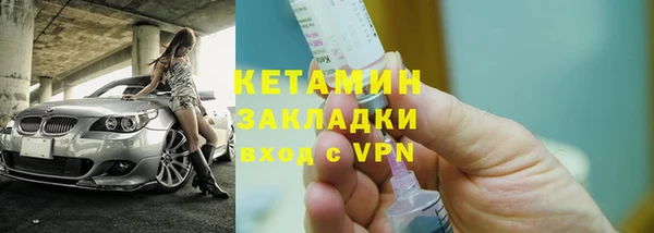 индика Вяземский