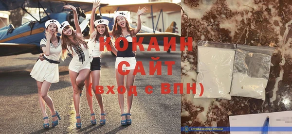 индика Вяземский