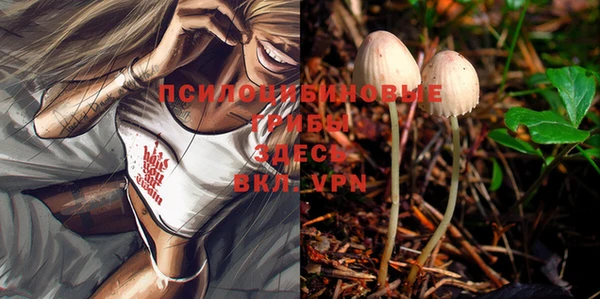 индика Вяземский