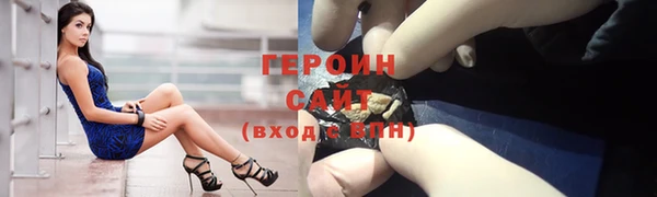 индика Вяземский
