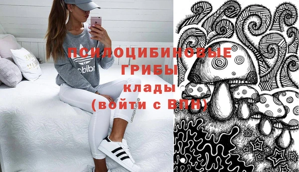 шишки Вязьма