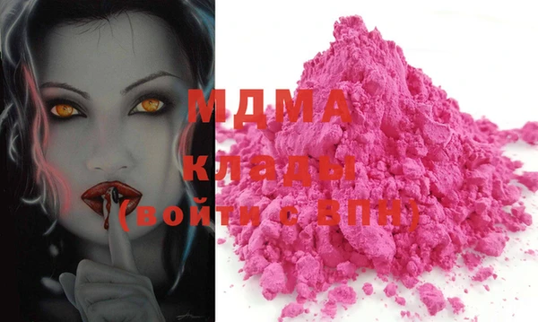 индика Вяземский