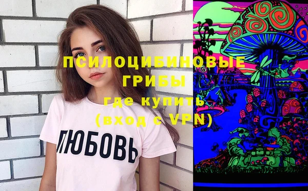 шишки Вязьма