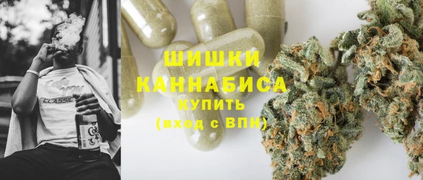 шишки Вязьма