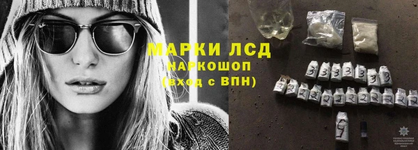 шишки Вязьма