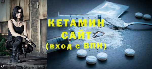 индика Вяземский