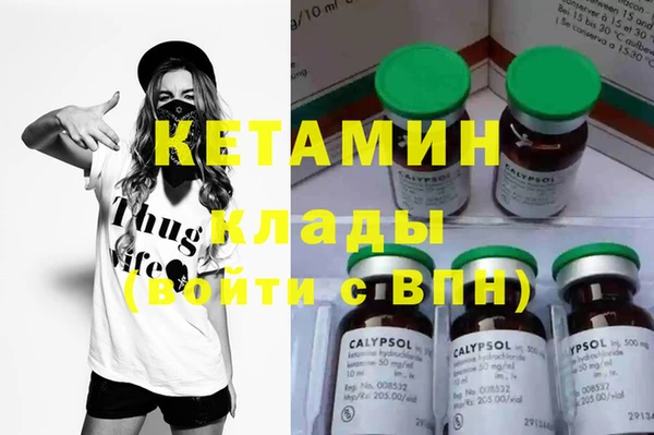 индика Вяземский