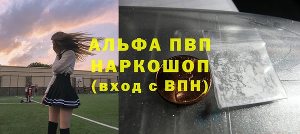 индика Вяземский