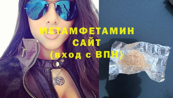 индика Вяземский