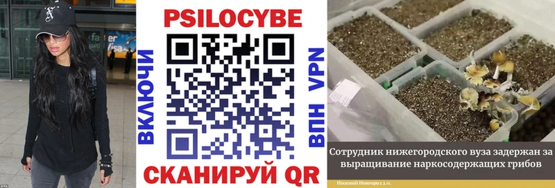 Галлюциногенные грибы GOLDEN TEACHER купить Ивдель